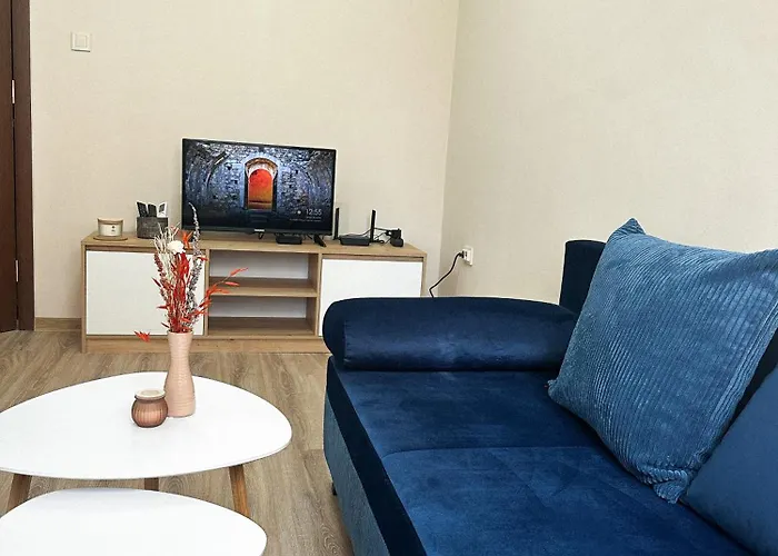 Bibi * 普罗夫迪夫