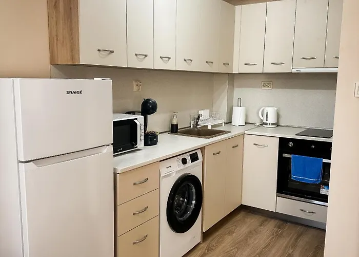 Bibi * 普罗夫迪夫